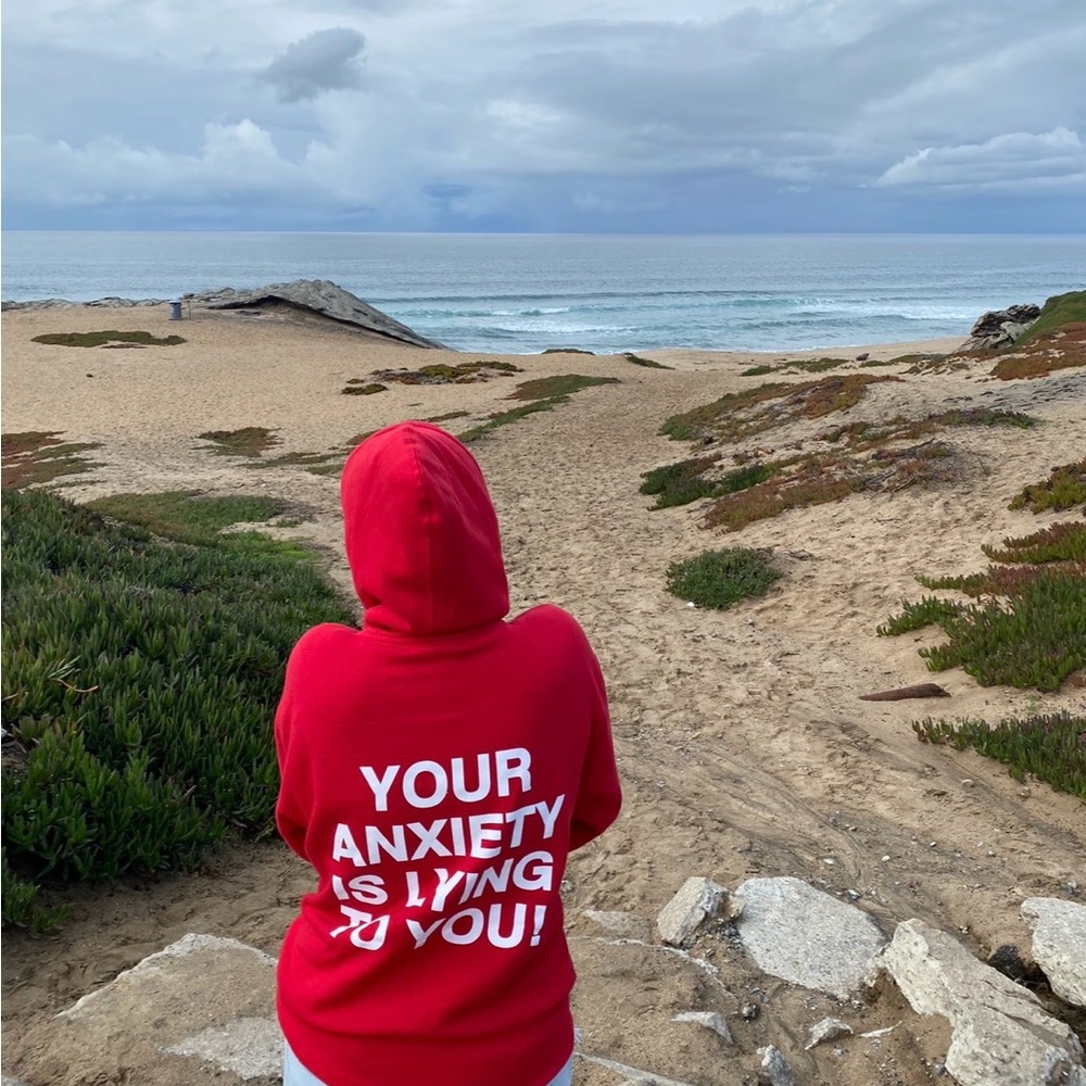 We are not really strangers hoodie